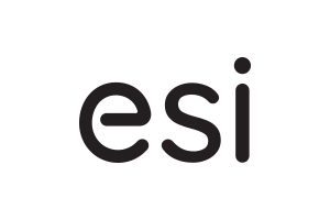 ESI人体工程学解决方案标志
