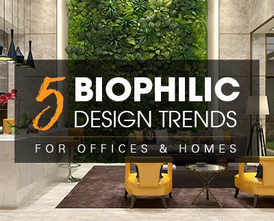 5个生物素设计趋势 - 将大自然带入办公室和房屋